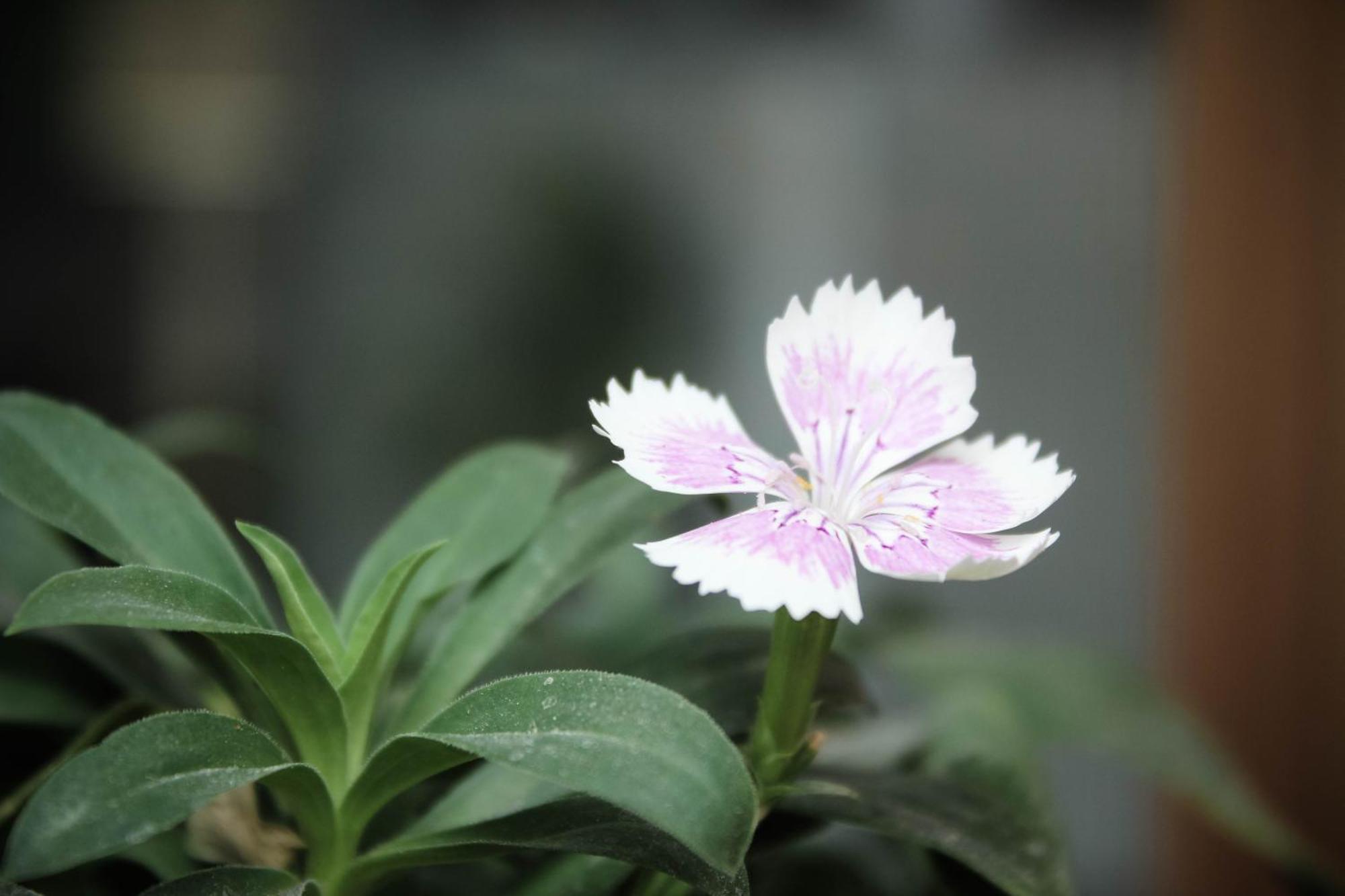 Soli Hospitale 宿里旅行舍 Hualien Exterior foto