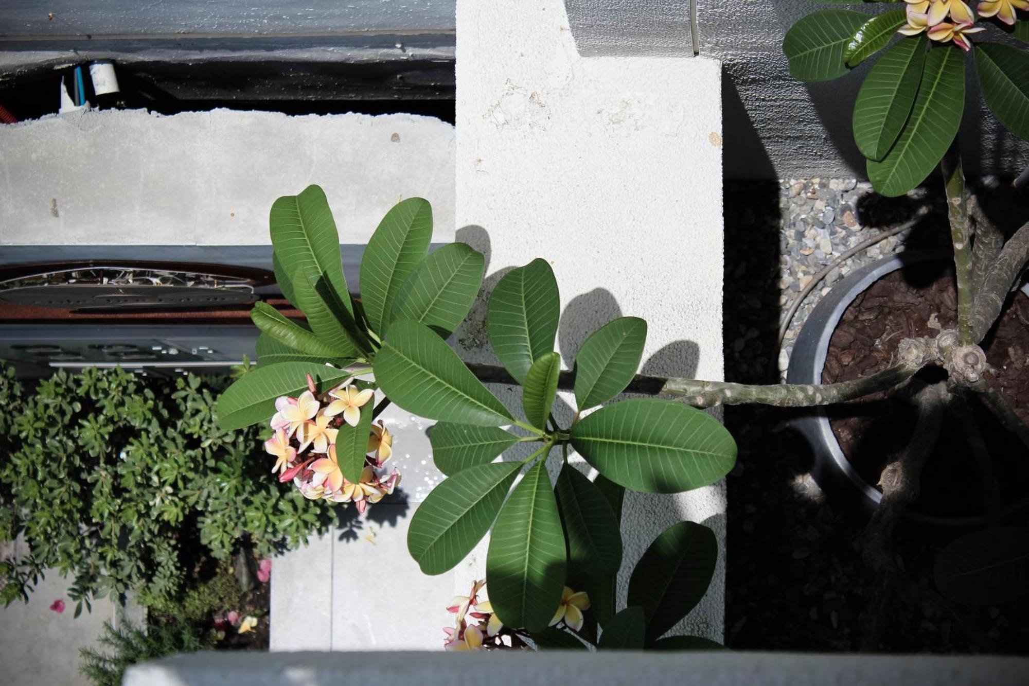 Soli Hospitale 宿里旅行舍 Hualien Exterior foto